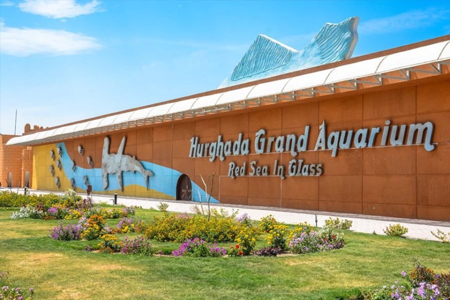 Discover the Hurghada Grand Aquarium