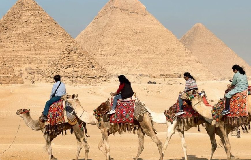 From Hurghada: Cairo Full Day Pyramids, Sphinx, Egyptian Museum With Lunch