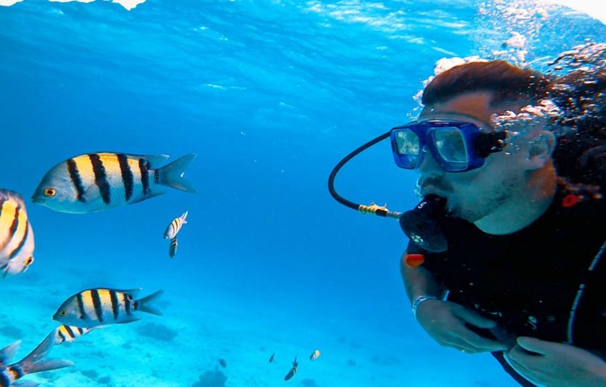 Hurghada: Intro Diving Trip, Snorkeling and Lunch