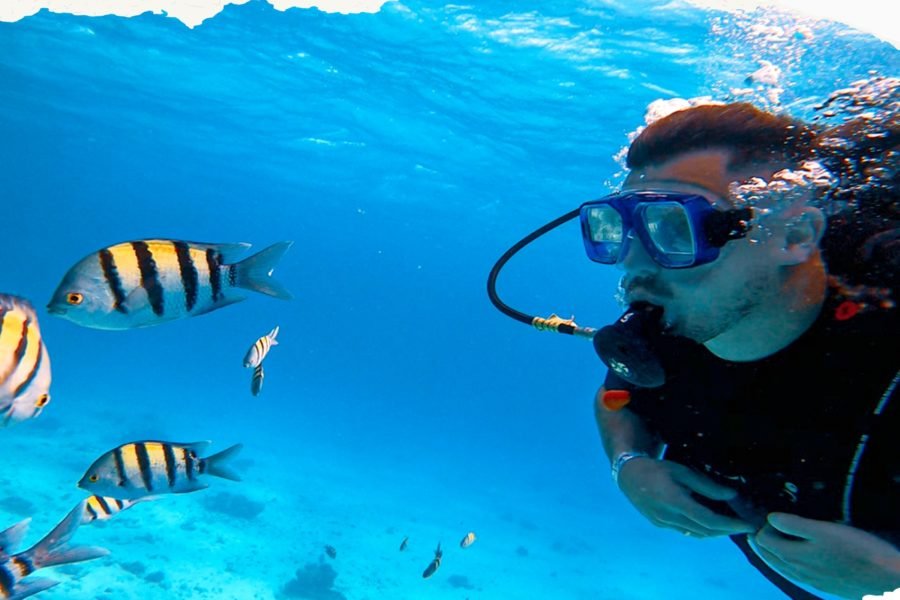 Hurghada Intro Diving Trip with Lunch & Two Dive Sites