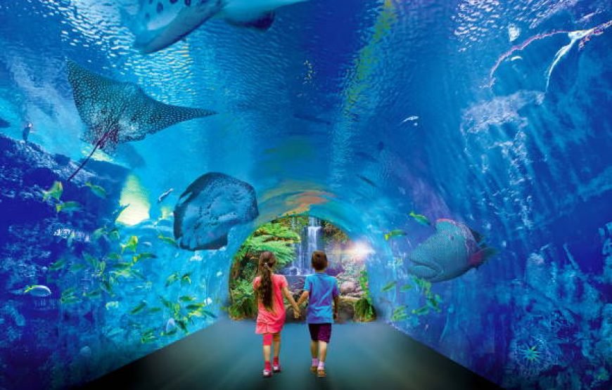 Discover the Hurghada Grand Aquarium