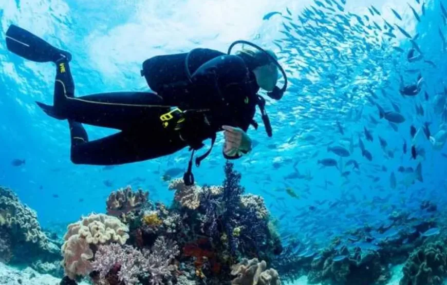 Hurghada: Intro Diving Trip, Snorkeling and Lunch