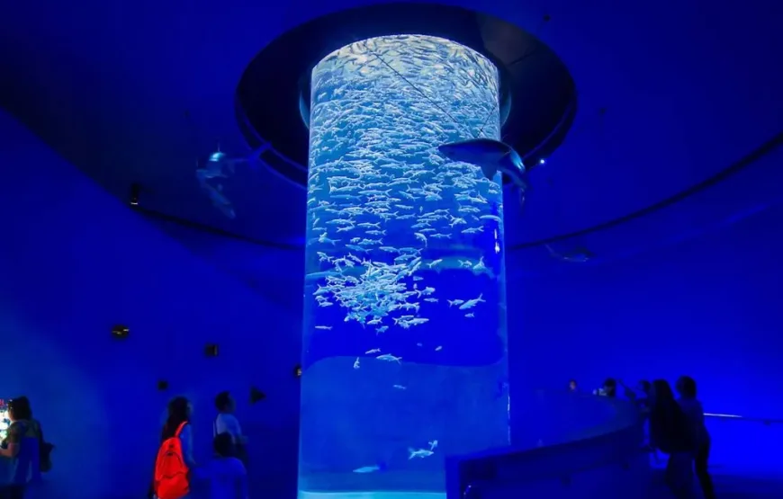 Discover the Hurghada Grand Aquarium