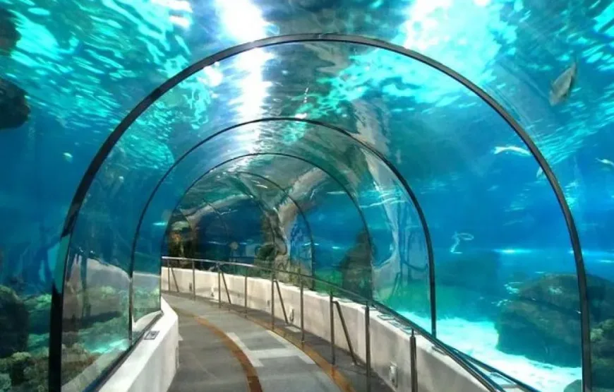 Discover the Hurghada Grand Aquarium