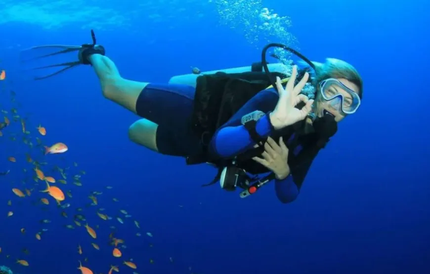Hurghada: Intro Diving Trip, Snorkeling and Lunch