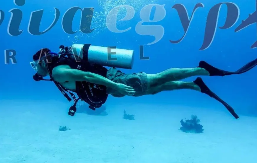 Hurghada: Professional Diving open water with lunch