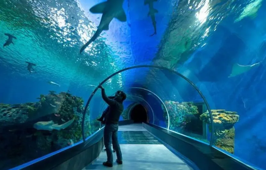 Discover the Hurghada Grand Aquarium