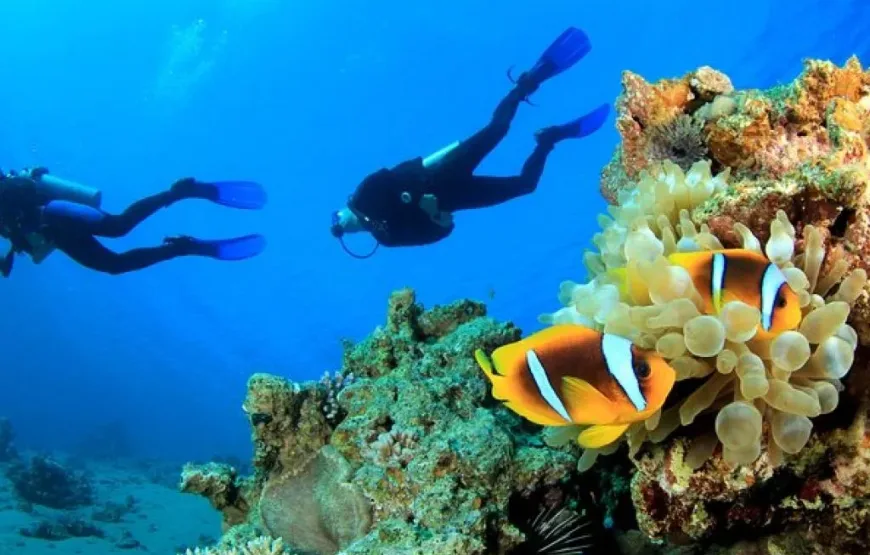 Hurghada: Intro Diving Trip, Snorkeling and Lunch