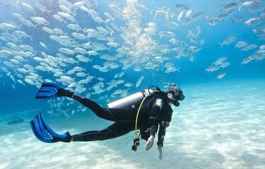 Hurghada: Intro Diving Trip, Snorkeling and Lunch