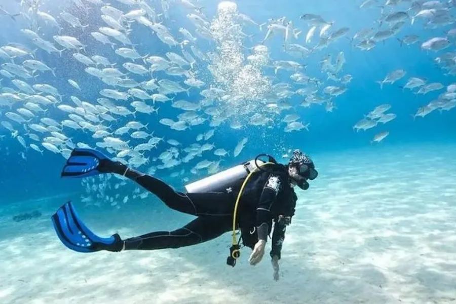 Hurghada: Intro Diving Trip, Snorkeling and Lunch