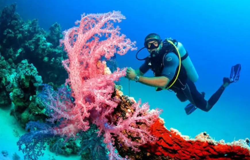 Hurghada: Intro Diving Trip, Snorkeling and Lunch