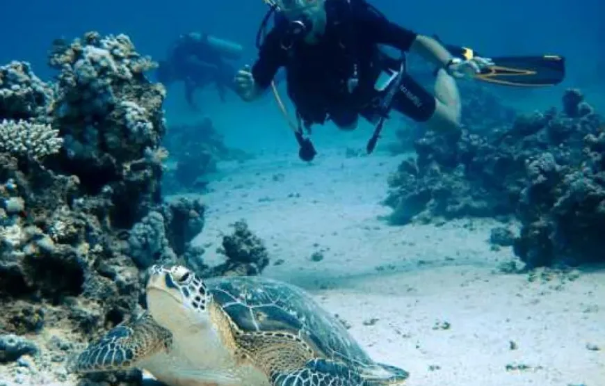 Hurghada: Intro Diving Trip, Snorkeling and Lunch