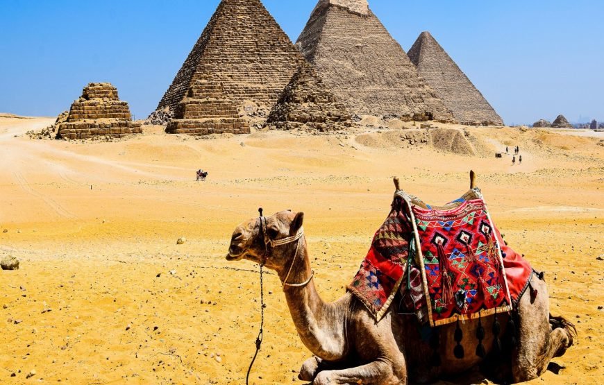 From Hurghada: Cairo Full Day Pyramids, Sphinx, Egyptian Museum With Lunch