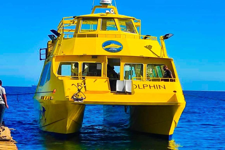 Snorkeling at Paradise Island on the Red Sea Dolphin Trip