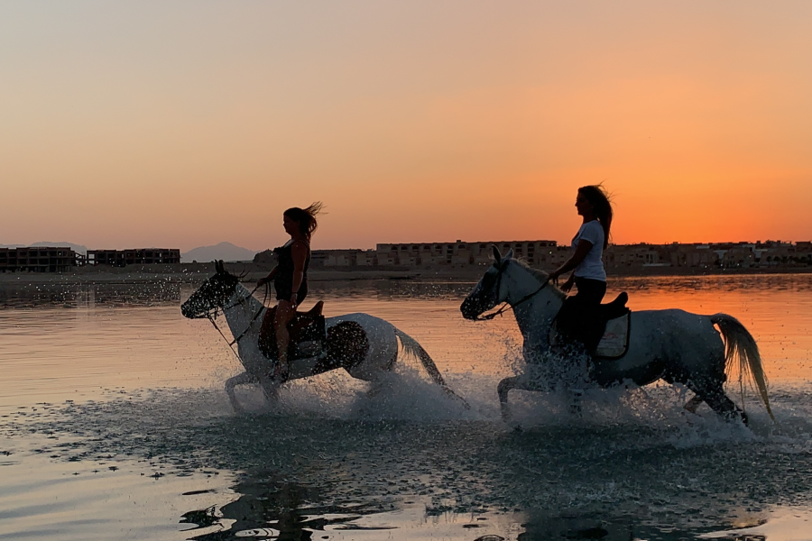 Hurghada Horseback Riding Adventure for 2 Hours – Sea & Desert
