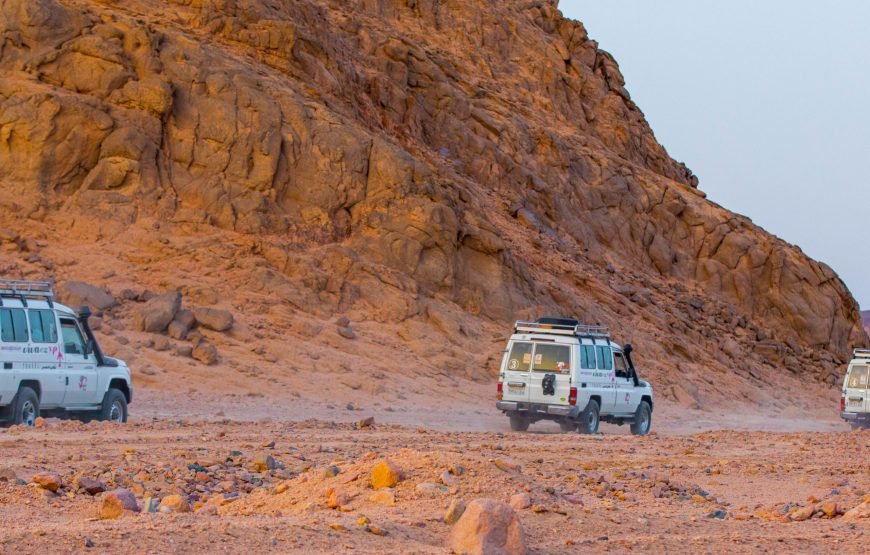 Hurghada: Explore the Desert in 3-Hour Quad Safari Adventure