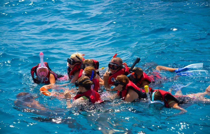 Dolphin House: Swim with Dolphins & Lunch