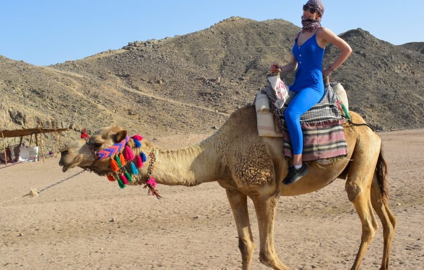 Hurghada: Explore the Desert in 3-Hour Quad Safari Adventure