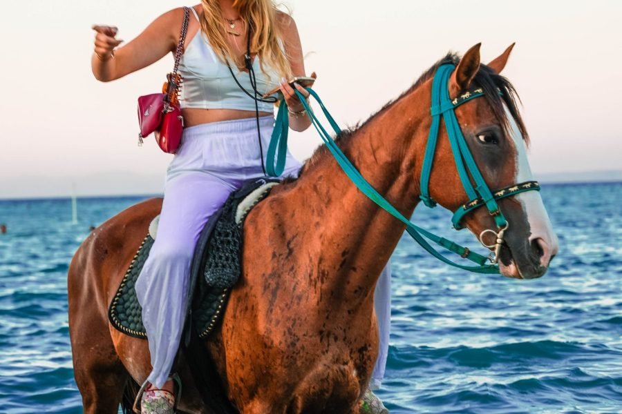 Hurghada Horseback Riding along the Red Sea