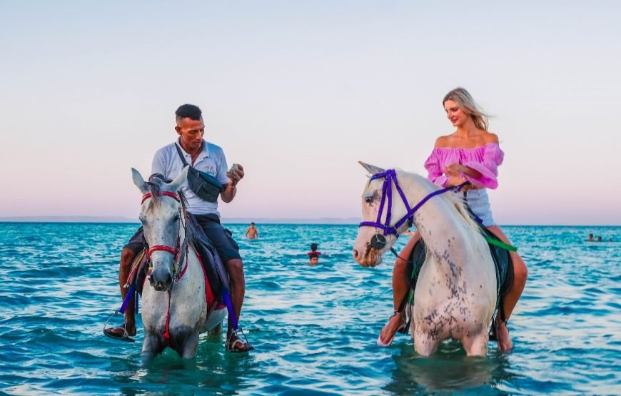 Hurghada Horseback Riding Adventure for 2 Hours – Sea & Desert