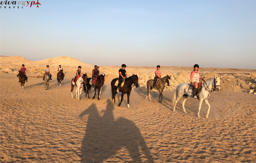 Hurghada Horseback Riding Adventure for 2 Hours – Sea & Desert