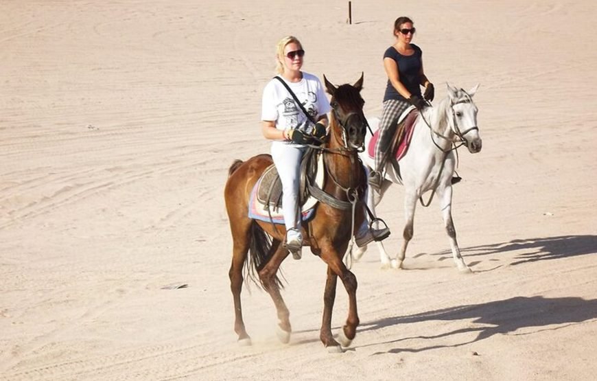 Hurghada Horseback Riding Adventure for 2 Hours – Sea & Desert