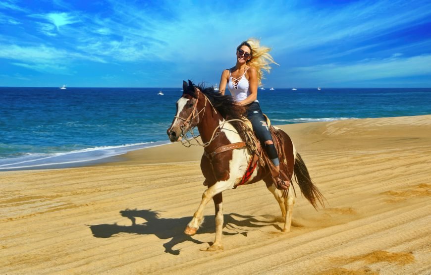 Hurghada Horseback Riding Adventure for 2 Hours – Sea & Desert