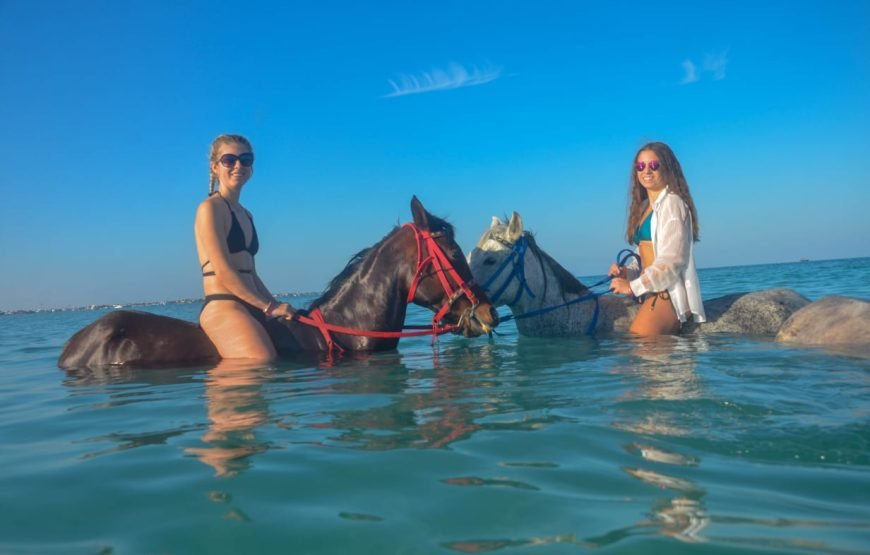 Hurghada Horseback Riding Adventure for 2 Hours – Sea & Desert