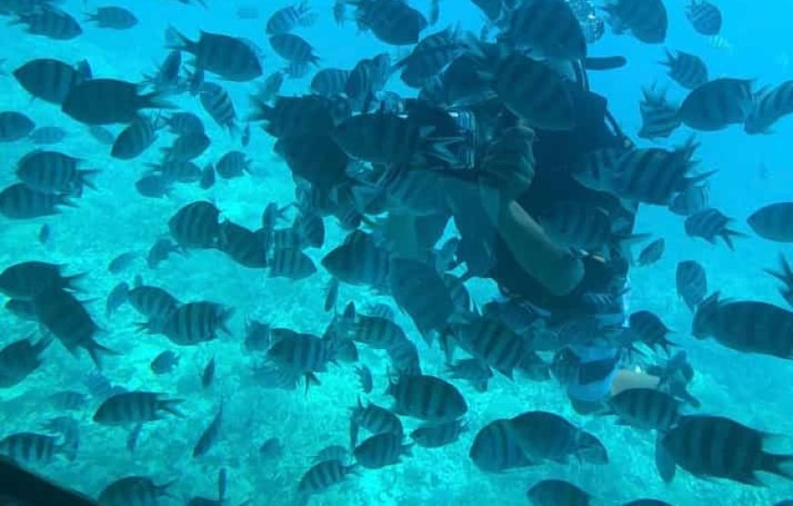 Hurghada: Royal Seascope Submarine