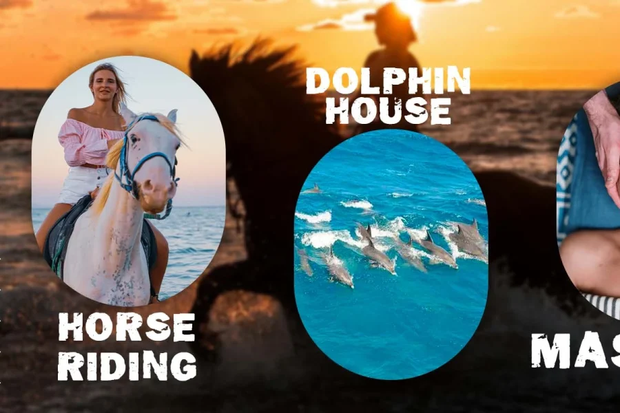 A collage of adventures in Hurghada: horseback riding on the beach, a relaxing spa treatment, and swimming with dolphins in the Red Sea