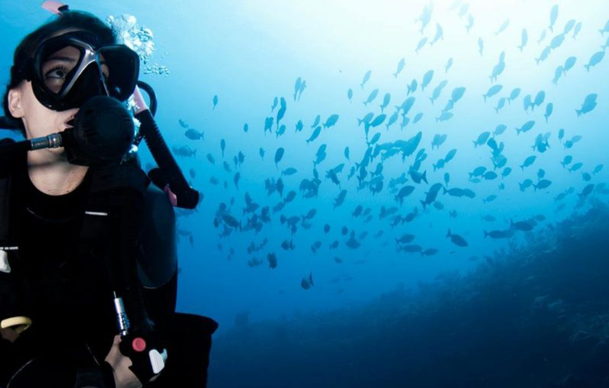 Hurghada: Diving trip with Island, Snorkeling and lunch on boat