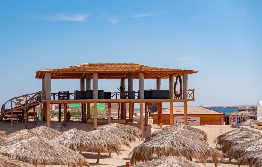 Hurghada: Paradise Island with Snorkeling and lunch