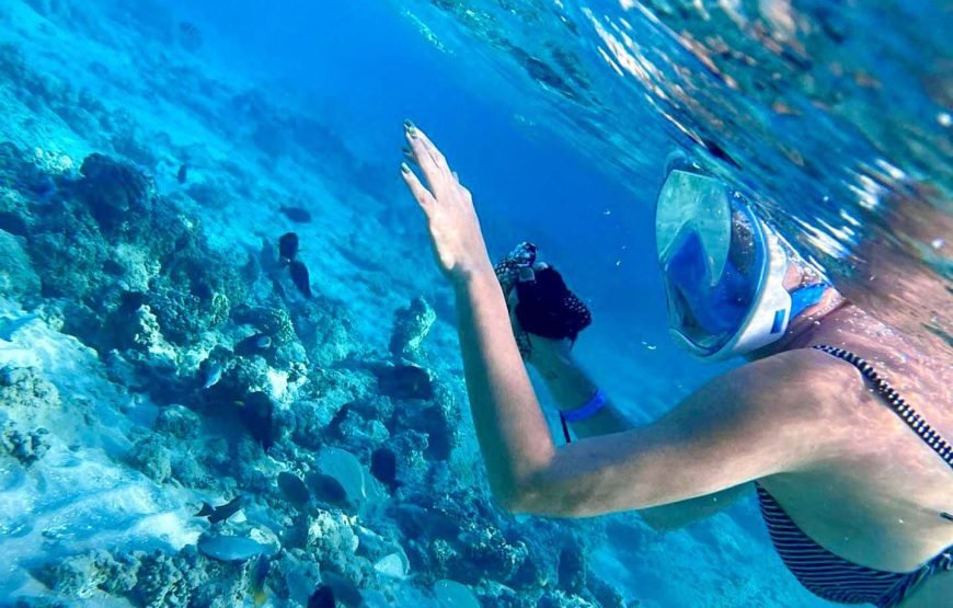 Hurghada: Paradise Island with Snorkeling and lunch