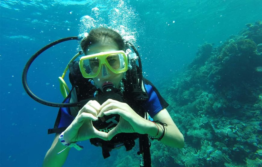 Hurghada: Diving trip with Island, Snorkeling and lunch on boat