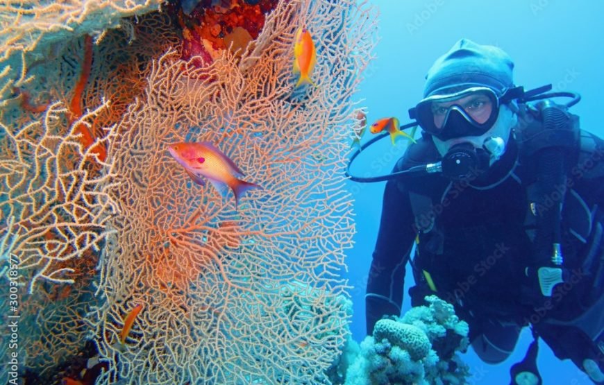Hurghada: Diving trip with Island, Snorkeling and lunch on boat