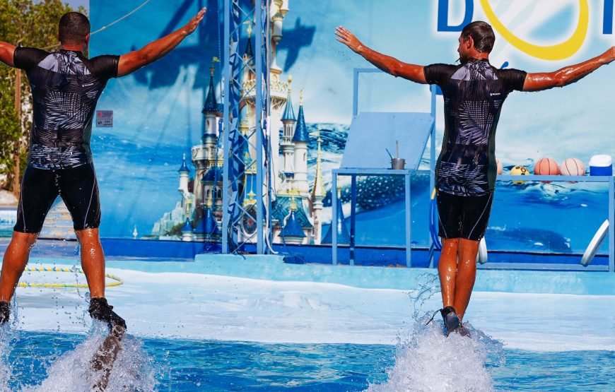 Hurghada: Experience the Magic of the Dolphin Show