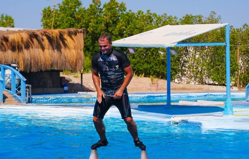 Hurghada: Experience the Magic of the Dolphin Show