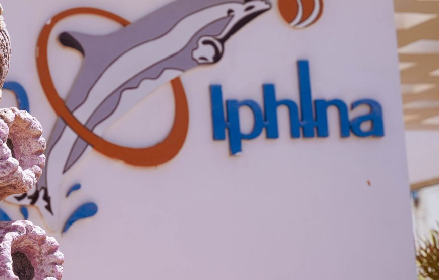 Hurghada: Experience the Magic of the Dolphin Show