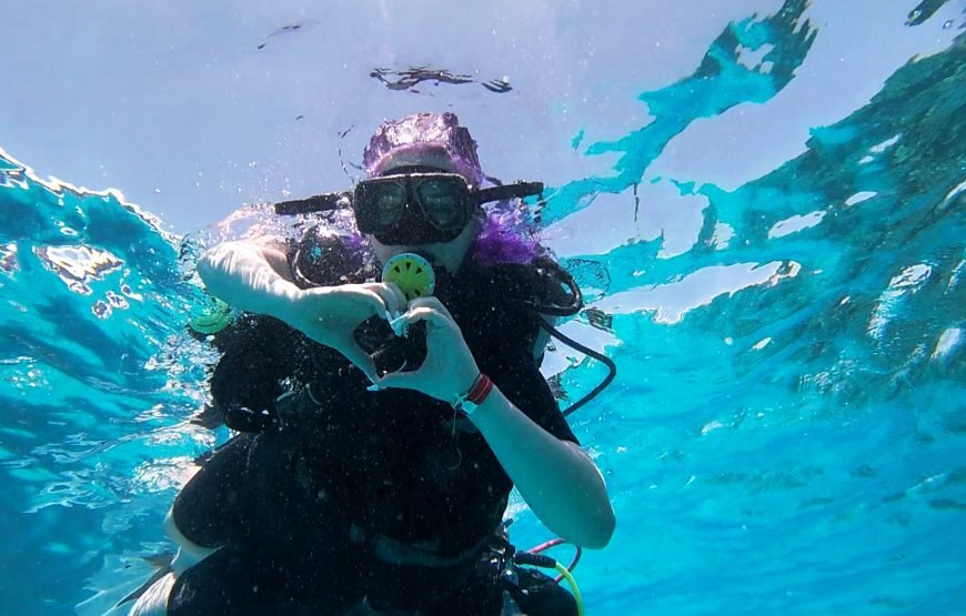 Hurghada: Diving trip with Island, Snorkeling and lunch on boat