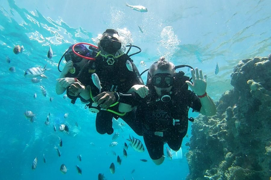 Hurghada: Diving trip with Island, Snorkeling and lunch on boat
