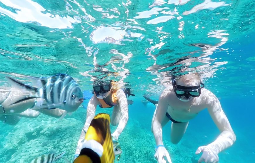 Hurghada: Snorkeling trip in Red Sae