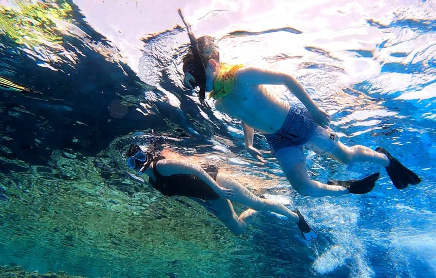 Hurghada: Snorkeling trip in Red Sae